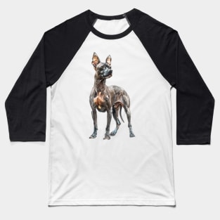 American Hairless Terrier Baseball T-Shirt